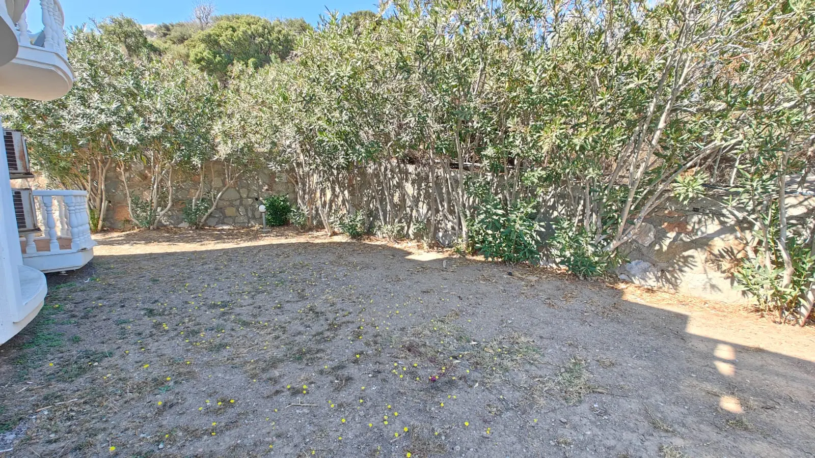 Garden area